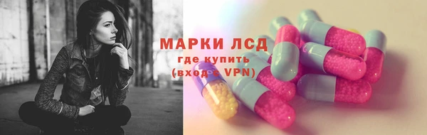 крисы Алзамай